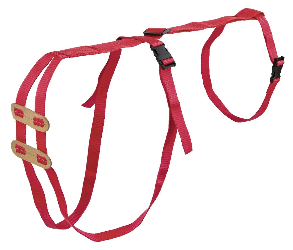 Fremfallsele. for sau