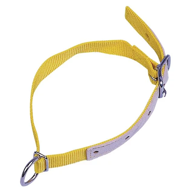 Halsband. for sau. nylon. 60 cm lang Gul