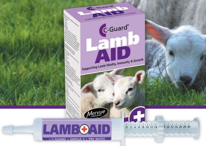 LambAid Paste 30ml