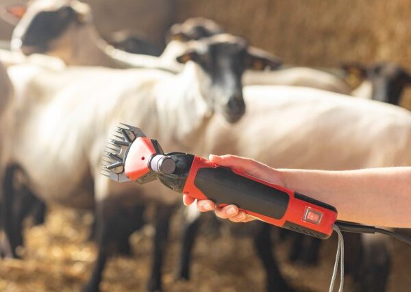 Farm Proff. klippemaskin for sau. 350W 6-speed - Bilde 3