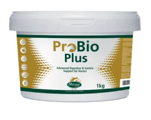 Pro-Bio Plus 1kg til hest