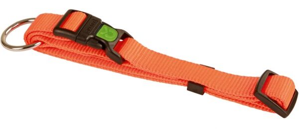 MIAMI halsband til hund - Orange