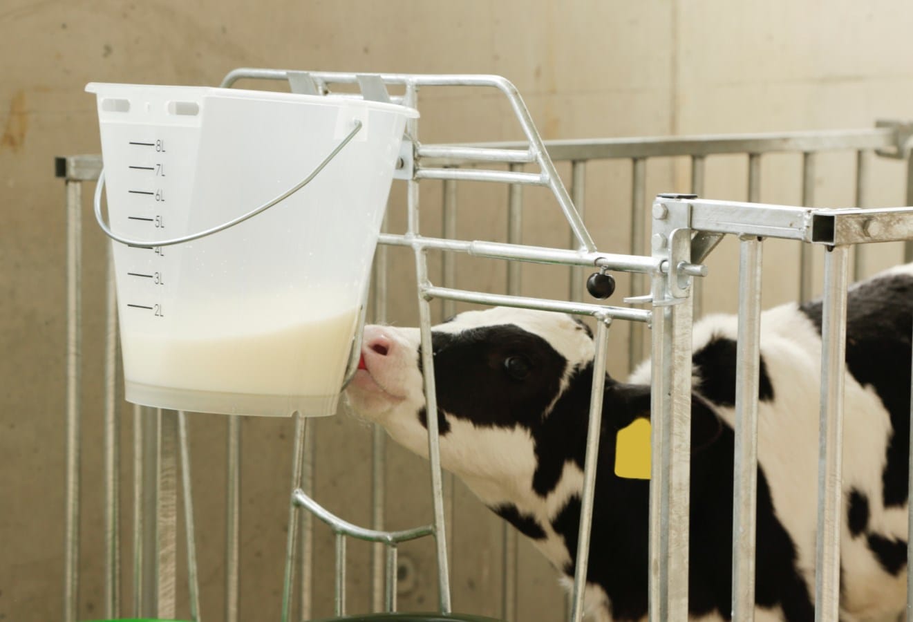 Kalvebar bøtte transparent m/måleenhet l. - Bilde 2