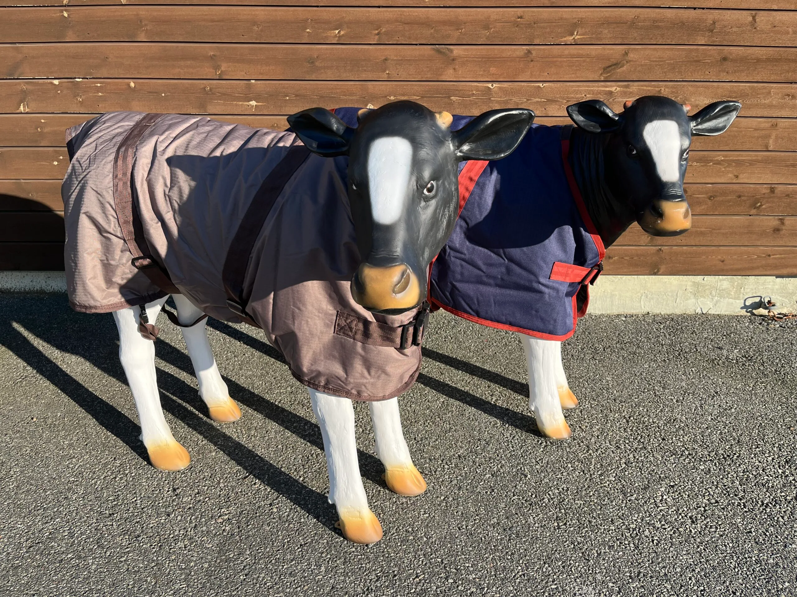 Cosy Calf ungdyrjakke 110cm - Blå - Bilde 5